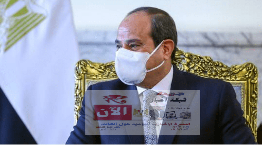 السيسي يحصي عدد السكان غير المصريين في مصر