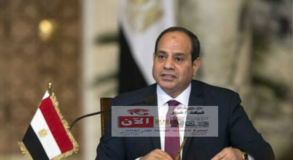 السيسي لحدّادة المنصورة: تحت أمرك في كل حاجة (فيديو)