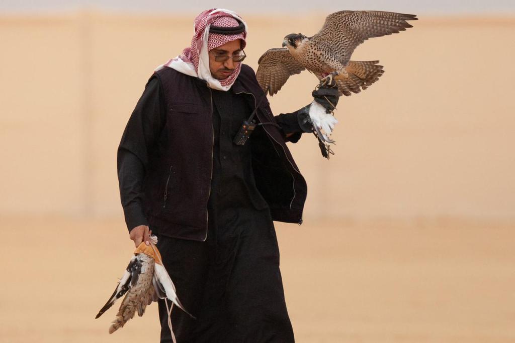 جريدة شبكة أخبار الدولية: المملكة العربية السعودية تشهد غدا انطلاق مهرجان الملك عبدالعزيز&nbsp;للصقور