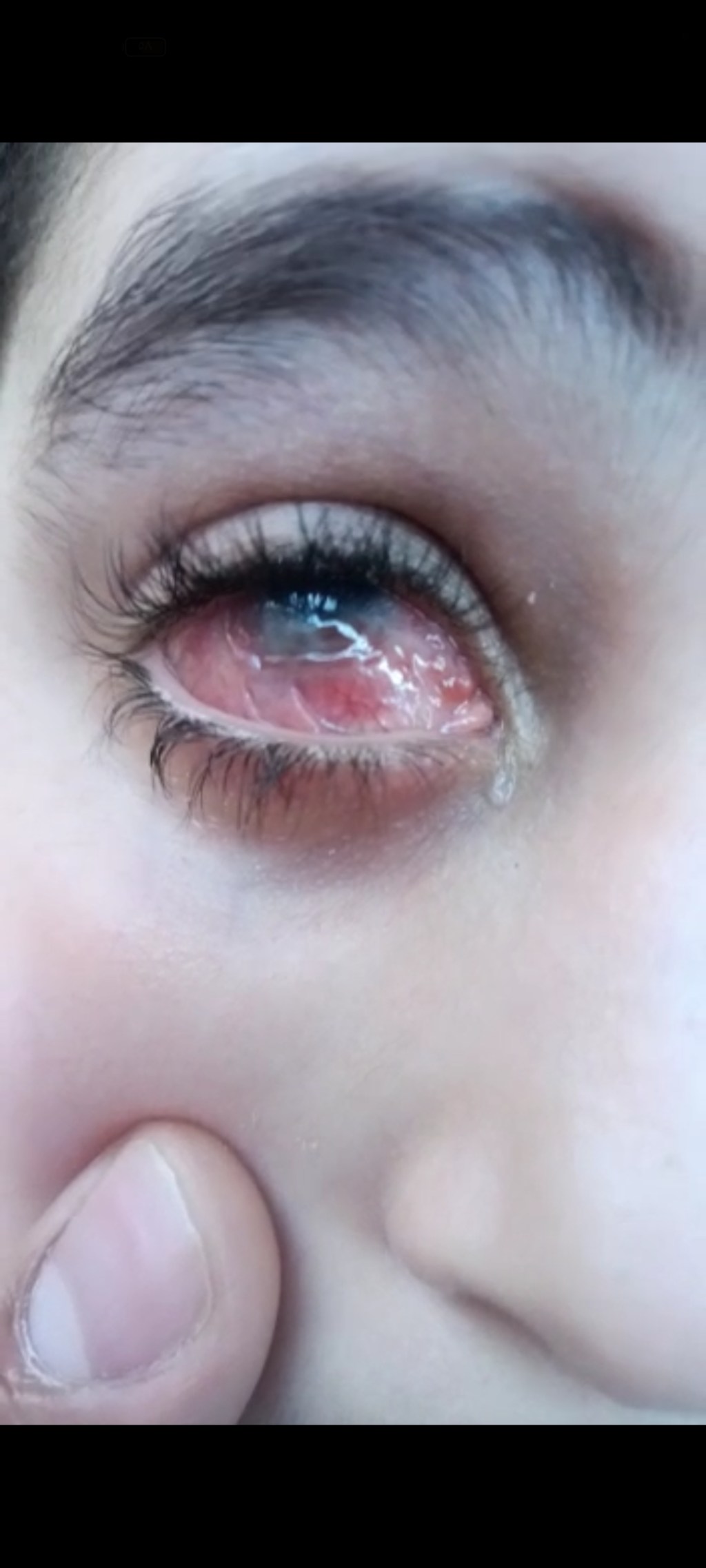 جريدة شبكة أخبار الدولية لمن يهمه&nbsp;الامر