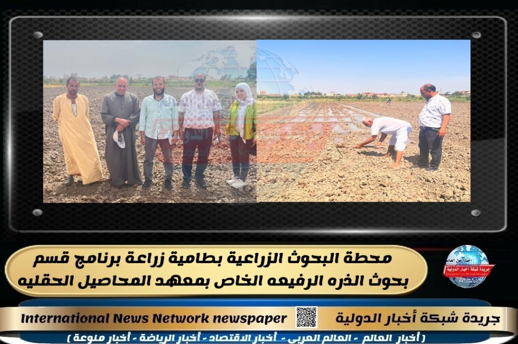 جريدة شبكة أخبار الدولية : محطة البحوث الزراعية بطامية زراعة برنامج قسم بحوث الذره الرفيعه الخاص بمعهد المحاصيل&nbsp;الحقليه
